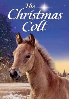 The Christmas Colt - Movie