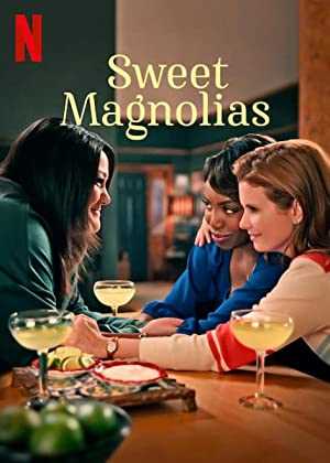 Sweet Magnolias - TV Series