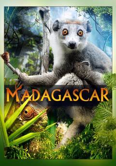 Madagascar - Movie