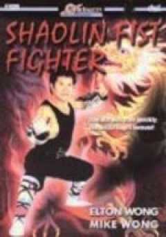 Shaolin Fist Fighter