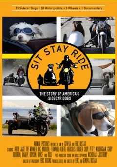 Sit Stay Ride: The Story Of America