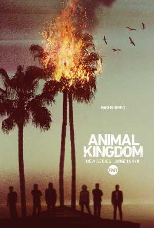 Animal Kingdom - amazon prime