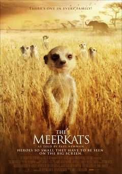 The Meerkats - vudu