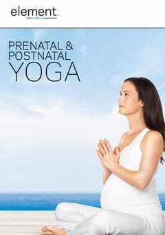 Element: Prenatal & Postnatal Yoga - vudu