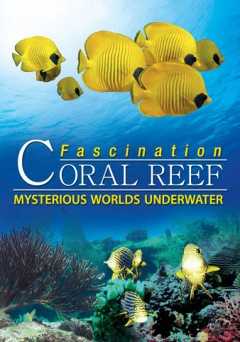 Fascination Coral Reef - vudu