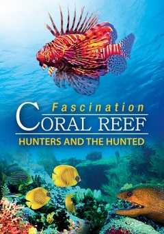 Fascination Coral Reef: Hunters & The Hunted