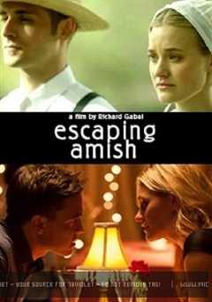 Expecting Amish - Movie