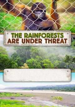 The Rainforests are Under Threat