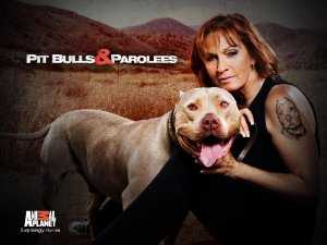 Pit Bulls and Parolees - vudu