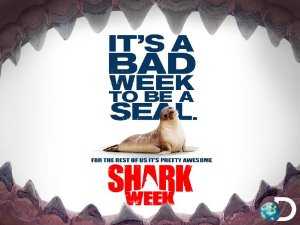 Shark Week - vudu