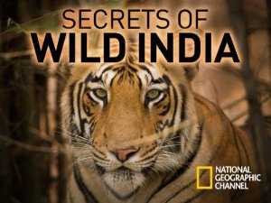 Secrets of Wild India - TV Series