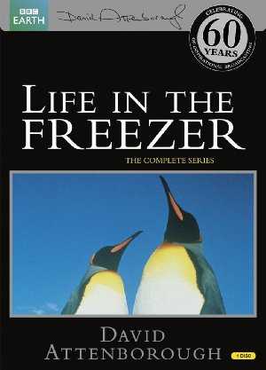 Life in the Freezer - TV Series