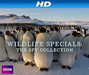 Wildlife Specials: The Spy Collection - TV Series