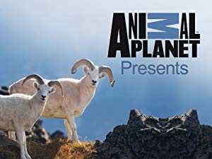 Animal Planet Presents - TV Series