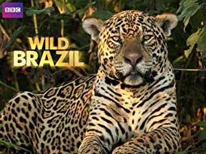 Wild Brazil - TV Series