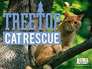 Treetop Cat Rescue - vudu