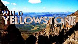 Wild Yellowstone - TV Series