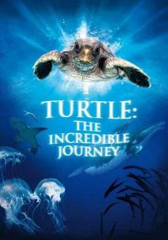 Turtle: The Incredible Journey - Movie