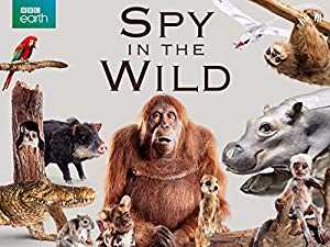 Spy in the Wild - TV Series