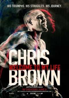 Chris Brown: Welcome to My Life - netflix