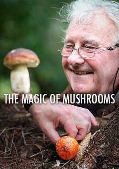 The Magic Of Mushrooms - netflix