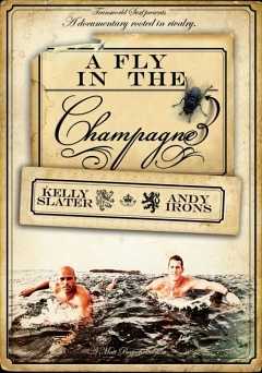 A Fly in the Champagne - amazon prime