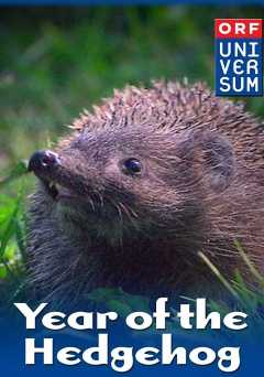 Year of the Hedgehog - Movie