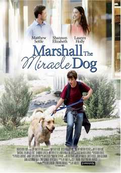 Marshall the Miracle Dog - amazon prime