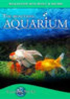 The Beautiful Aquarium: Tranquil World - Relaxation with Music & Nature - amazon prime