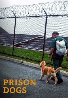 Prison Dogs - amazon prime