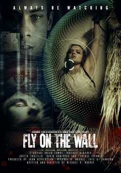 Fly on the Wall - amazon prime