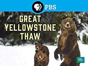 Great Yellowstone Thaw - netflix