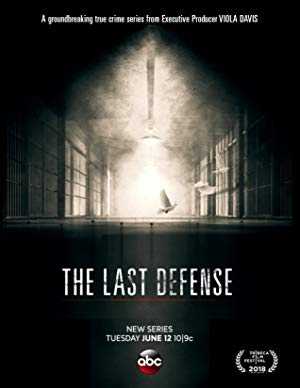 The Last Defense - TV Series