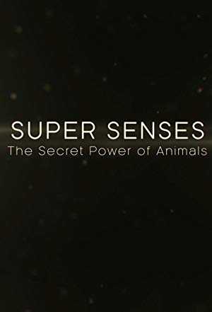Super Senses - amazon prime