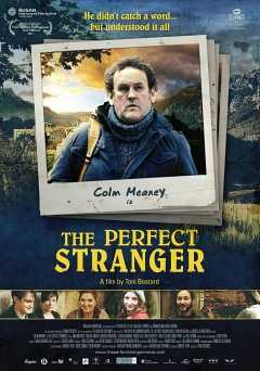 The Perfect Stranger - Movie