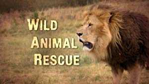 Wild Animal Rescue - amazon prime