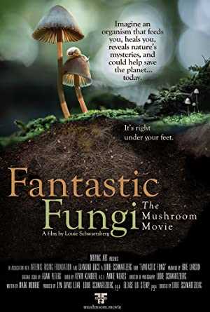 Fantastic Fungi - netflix