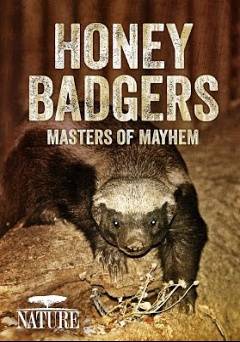 Honey Badgers: Masters of Mayhem - Amazon Prime