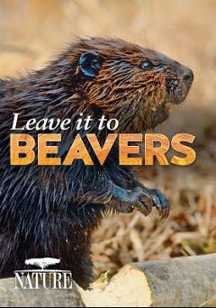 Leave it to Beavers - Amazon Prime