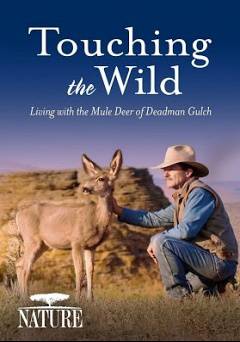 Nature: Touching the Wild: Living with the Mule Deer of Deadman Gulch - Movie