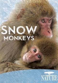 Nature: Snow Monkeys - Amazon Prime