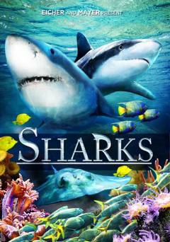 Sharks - Movie