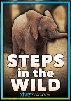 Steps in the Wild - HULU plus