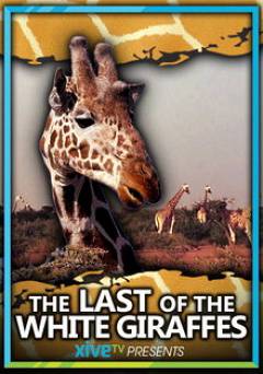The Last of the White Giraffes - Movie