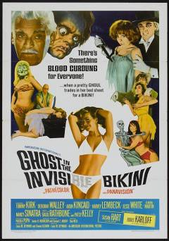 The Ghost In The Invisible Bikini - amazon prime