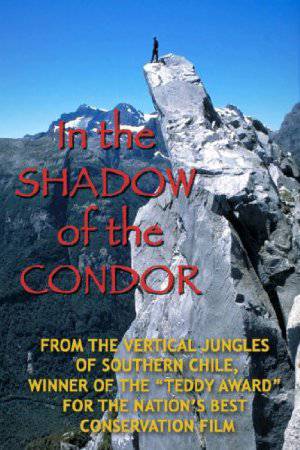 In the Shadow of the Condor - Amazon Prime
