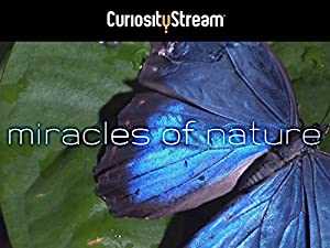Miracles of Nature - TV Series