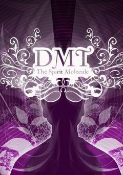 DMT: The Spirit Molecule - amazon prime