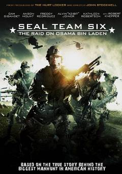 Seal Team Six: The Raid on Osama Bin Laden - netflix