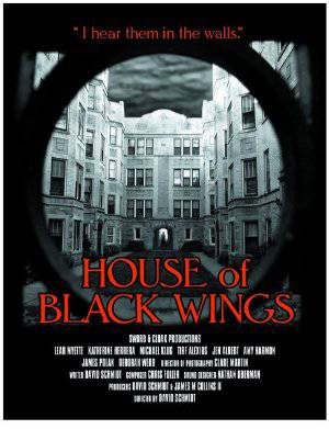 Black Wings - Movie